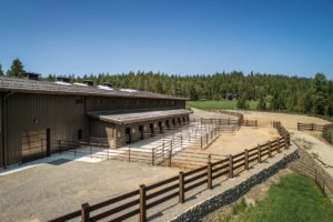 Modern horse stable with fenced paddocks and forest backdrop.